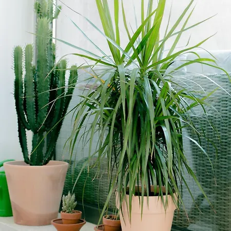 Apartman Mi - Old Town Heart-terrace&castle View